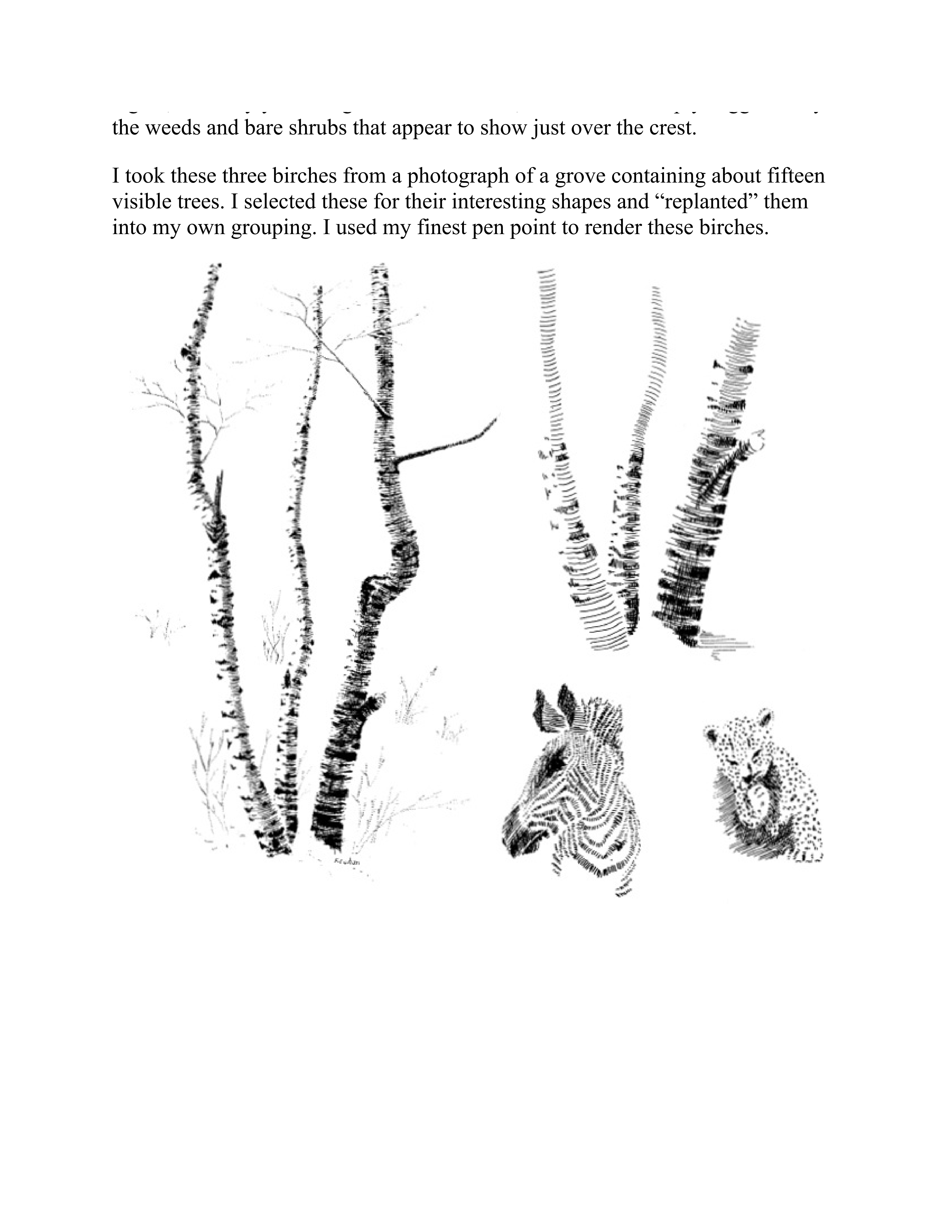 آموزش نقاشی طراحی سیاه قلم شهرری